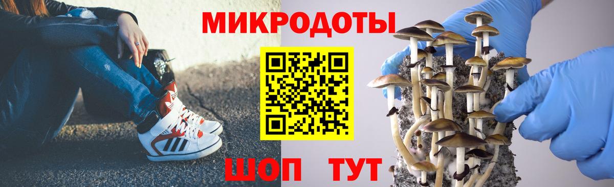 Псилоцибиновые грибы Cubensis  Вход с VPN  Сызрань 